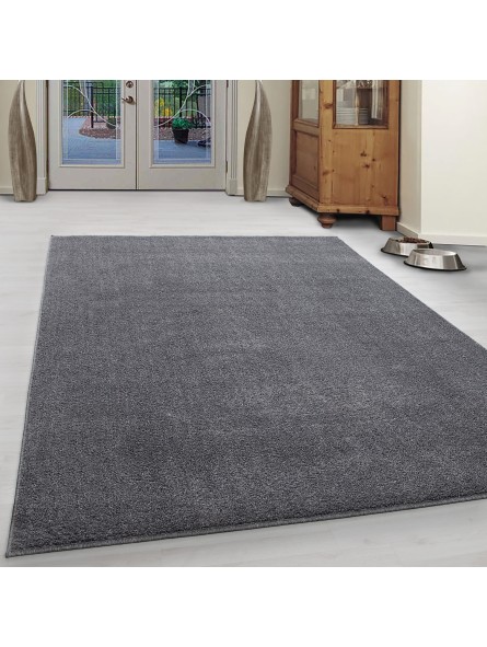 Carpet, short pile, modern, living room, mottled, plain, cheap, light grey