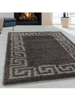 Living room carpet design high pile carpet pattern antique border color taupe