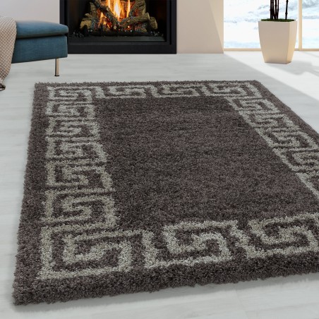 Living room carpet design high pile carpet pattern antique border color taupe