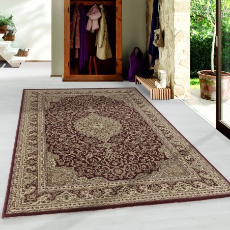 Tappeto da soggiorno, pelo corto, tappeto orientale, classico, design Nain antico