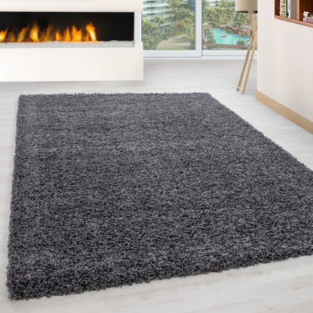 Pelo lungo, pelo lungo, tappeto shaggy per soggiorno, altezza pelo 3 cm, grigio tinta unita