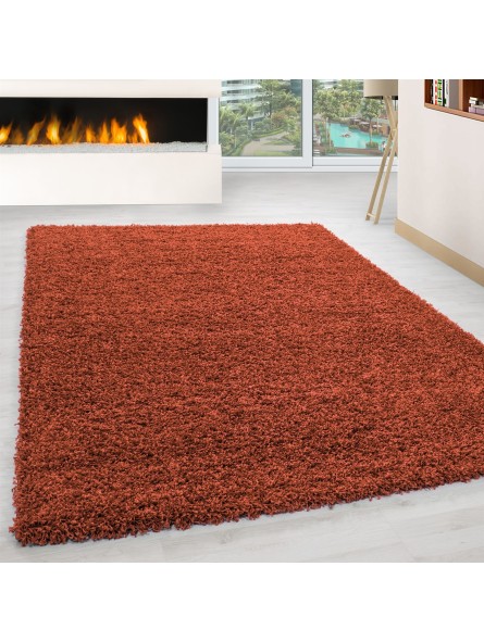 High-pile, long-pile, living room shaggy carpet, pile height 3 cm, plain terra