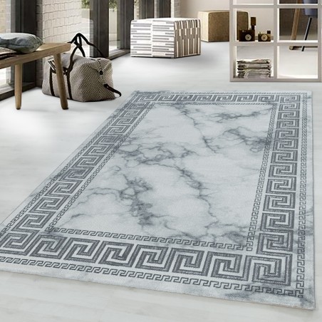 Tapis à poils courts tapis de salon design en marbre bordure argent antique
