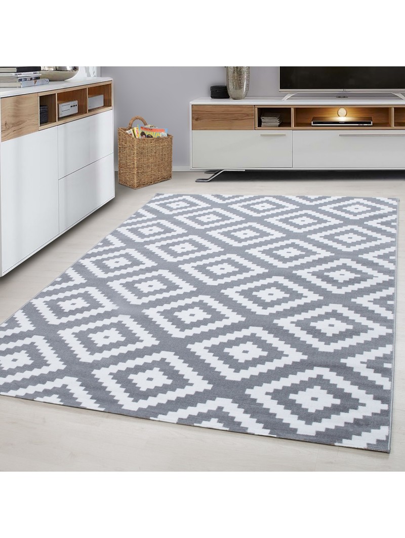 Modern living room Elegance designer rug, low pile, gray and white